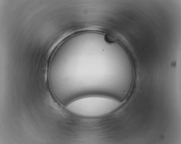 X0000113941276200909250931