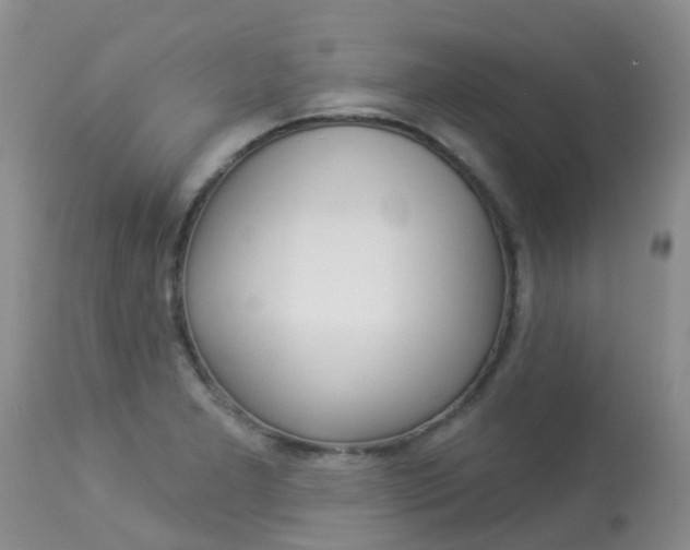X0000113941277200909250931