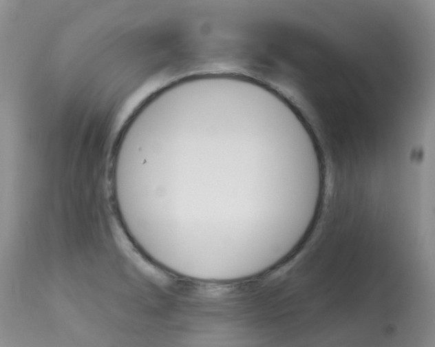 X0000113941278200909250931
