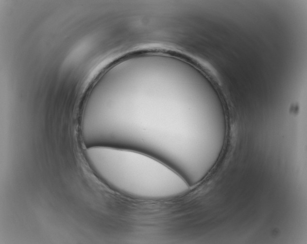 X0000113941279200909250931