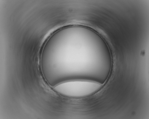 X0000113941280200909250931