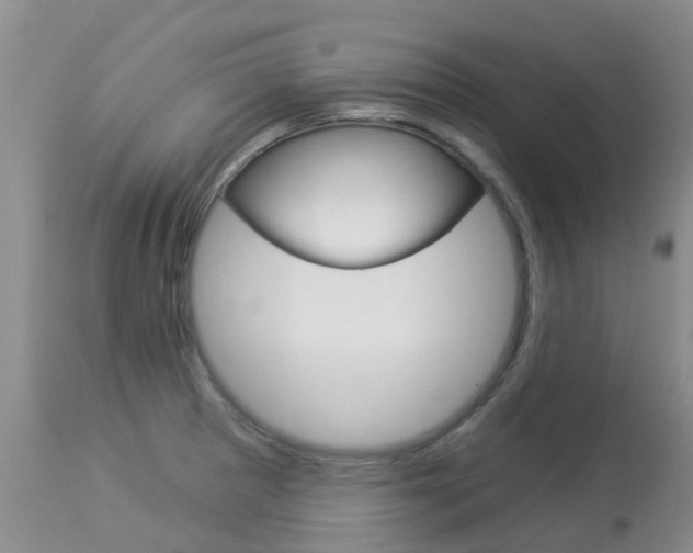 X0000113941281200909250931