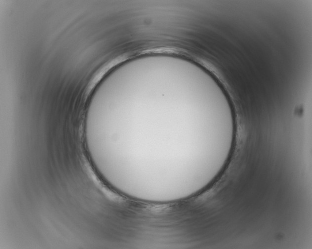 X0000113941282200909250931
