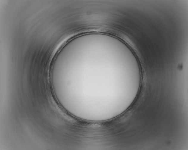 X0000113941283200909250931