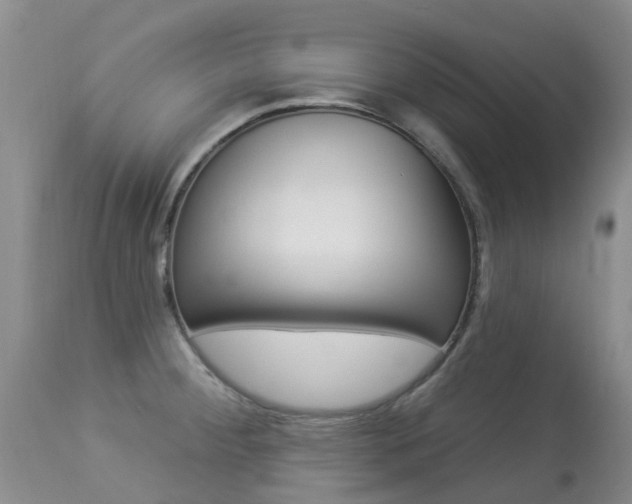 X0000113941284200909250931