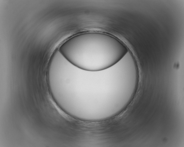 X0000113941285200909250931