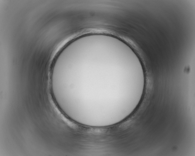 X0000113941286200909250931