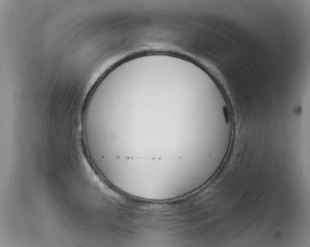 X0000113941287200909250931