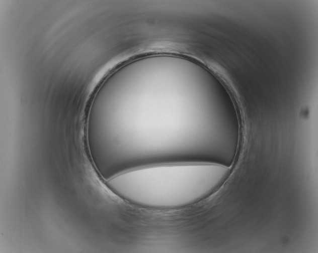 X0000113941288200909250931