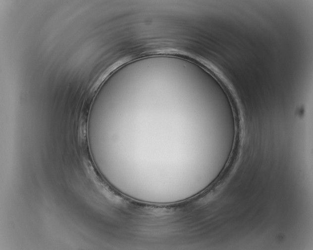 X0000113941289200909250931