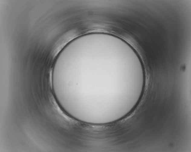 X0000113941290200909250931