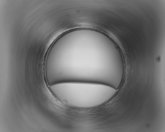 X0000113941291200909250931