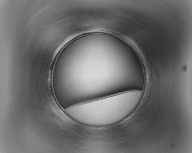 X0000113941292200909250931