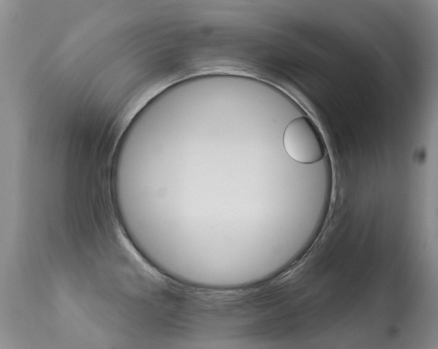X0000113941293200909250931