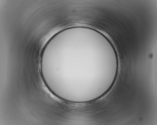X0000113941294200909250931