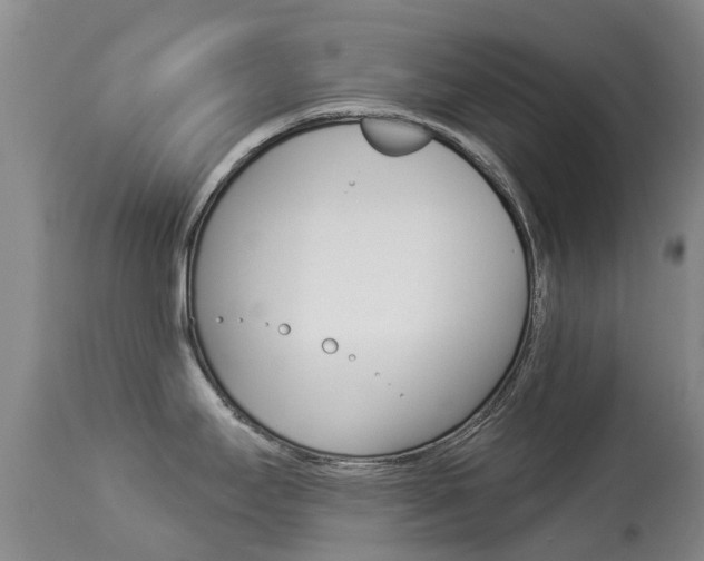 X0000113941295200909250930