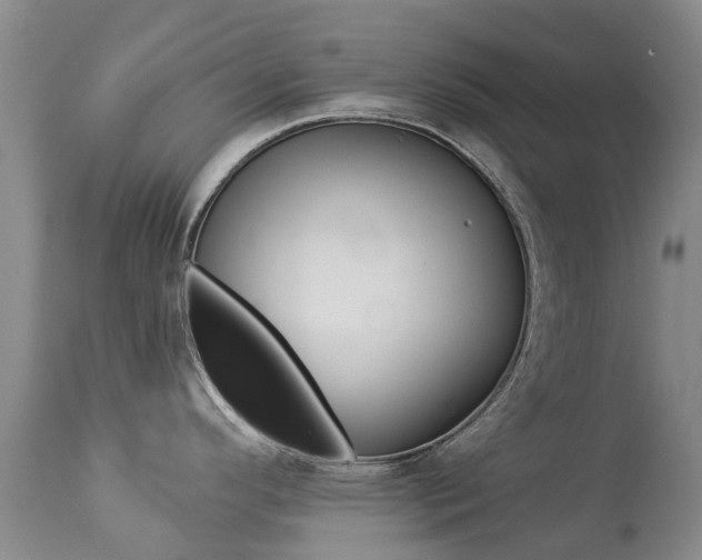 X0000113941296200909250930