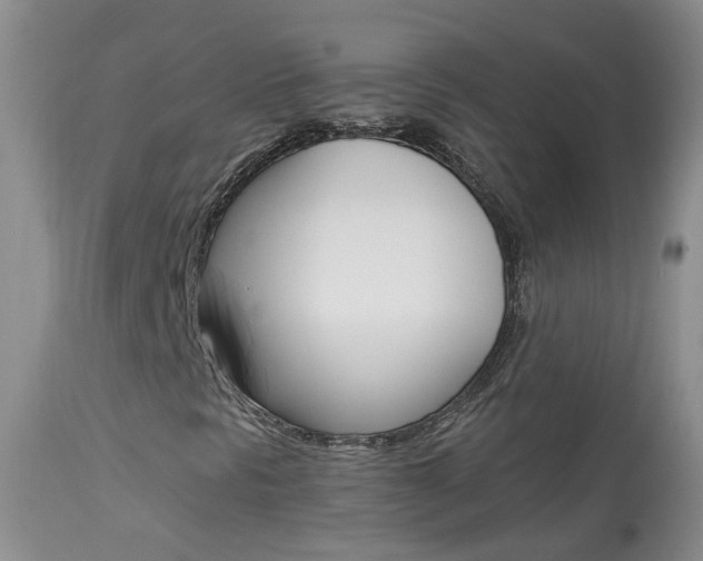 X0000113941297200909250930