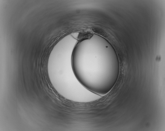 X0000113941298200909250930