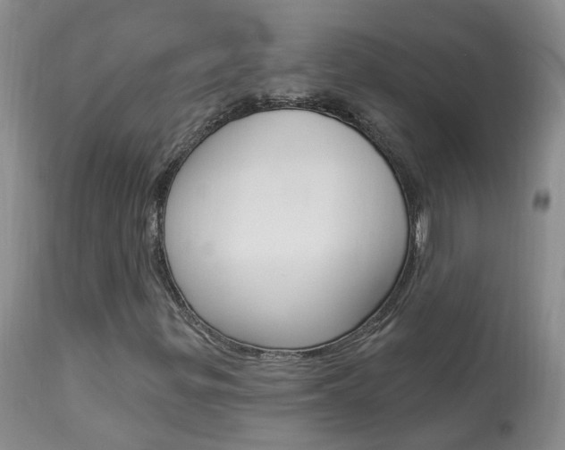 X0000113941299200909250930