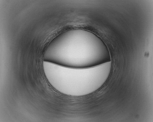 X0000113941300200909250930