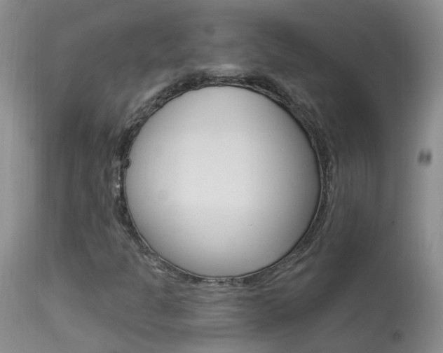 X0000113941301200909250930