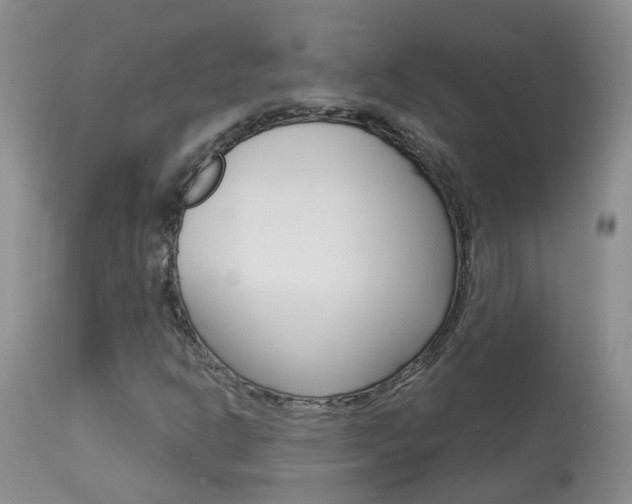 X0000113941302200909250930