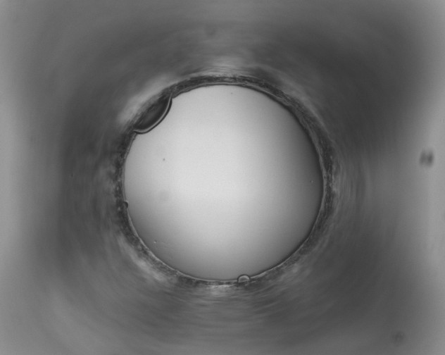 X0000113941304200909250930