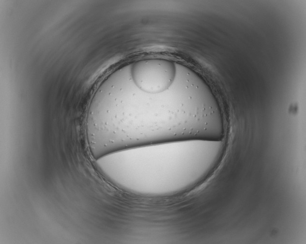 X0000113941305200909250930