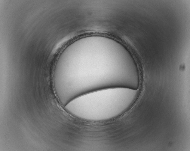 X0000113941307200909250930