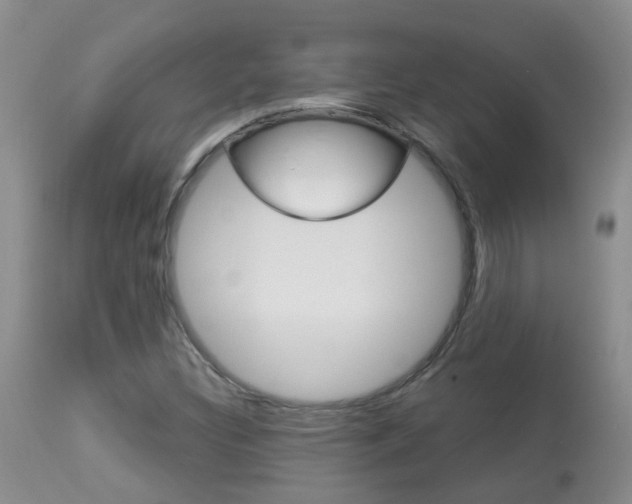 X0000113941308200909250930