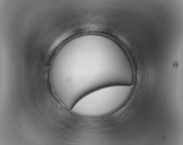 X0000113941309200909250930