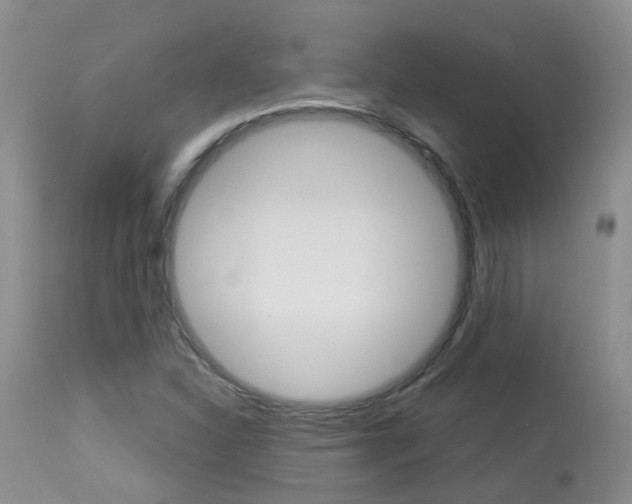 X0000113941310200909250930