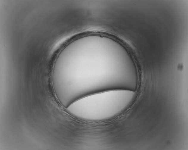 X0000113941311200909250930
