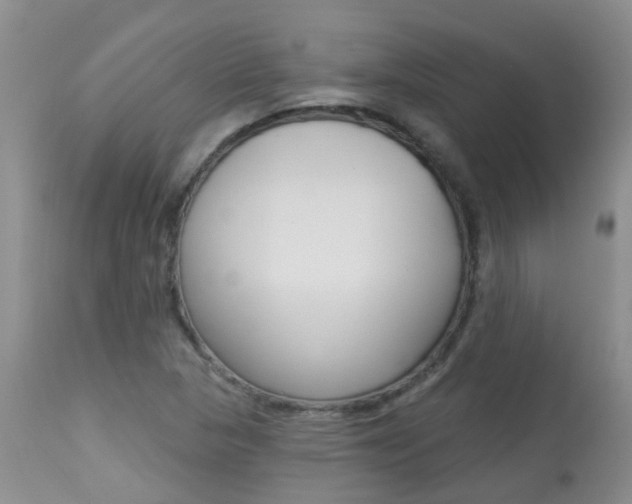 X0000113941313200909250930