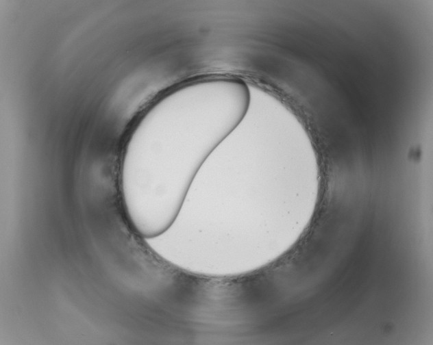 X0000113941314200909250930