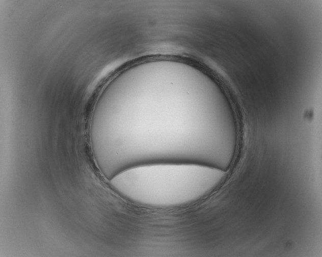 X0000113941315200909250930