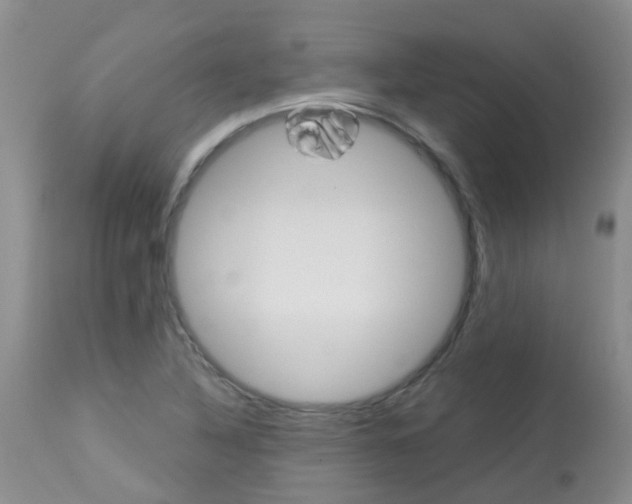 X0000113941316200909250930