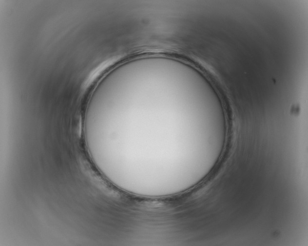 X0000113941317200909250930