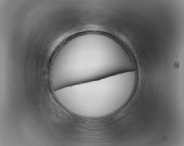 X0000113941318200909250930