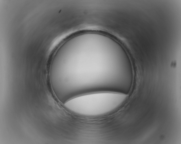 X0000113941319200909250930
