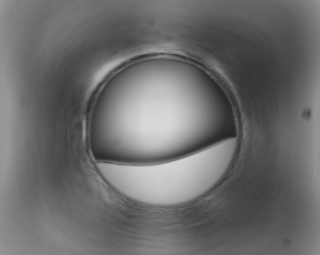X0000113941320200909250930