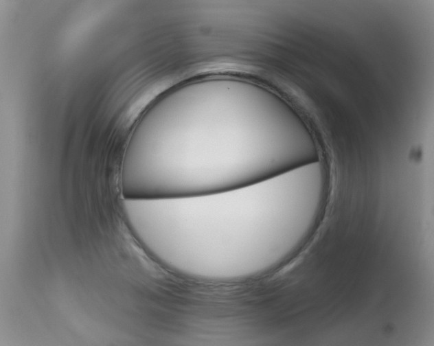 X0000113941321200909250930