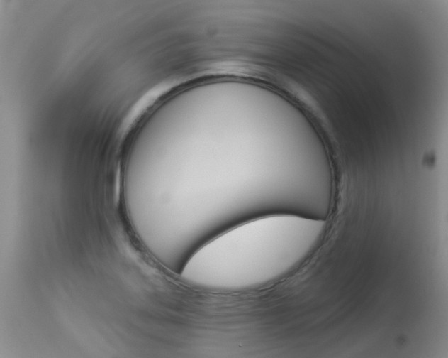 X0000113941323200909250930