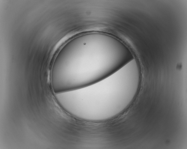 X0000113941324200909250930