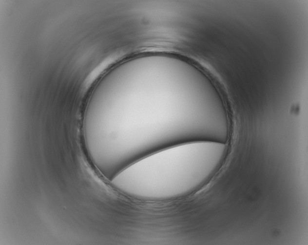 X0000113941325200909250930