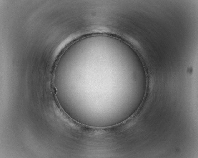 X0000113941326200909250930