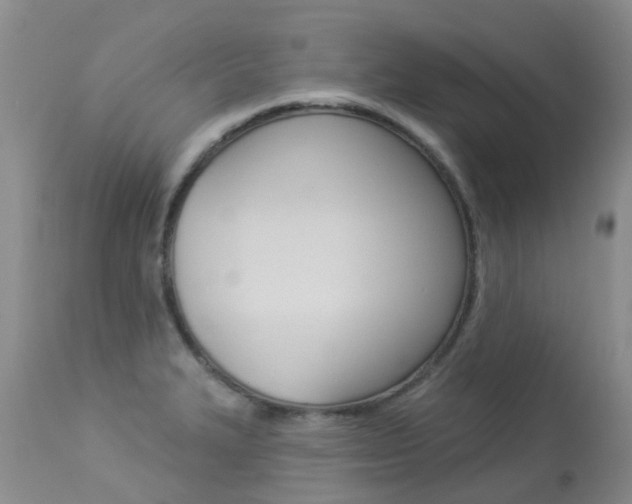 X0000113941327200909250930