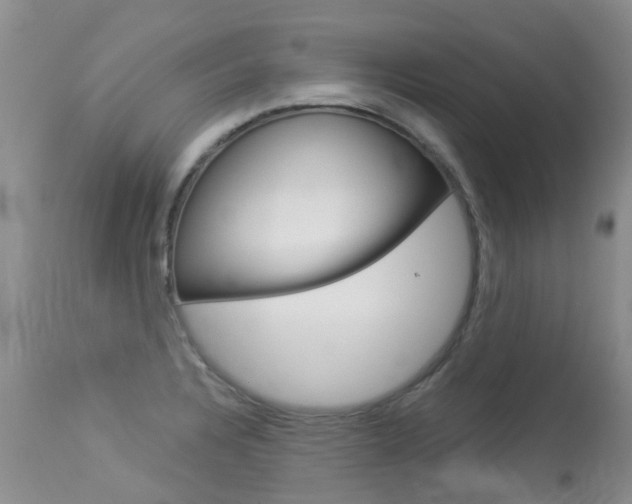 X0000113941328200909250930