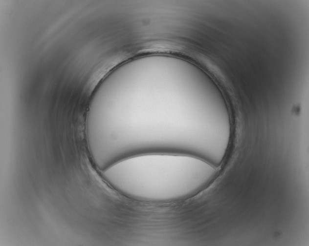 X0000113941329200909250930